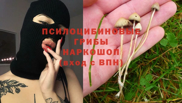 а пвп мука Алзамай