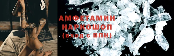 СК Алексин