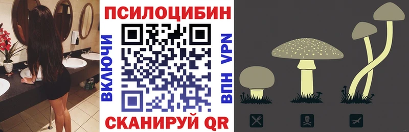Псилоцибиновые грибы мицелий  Каменск-Уральский 