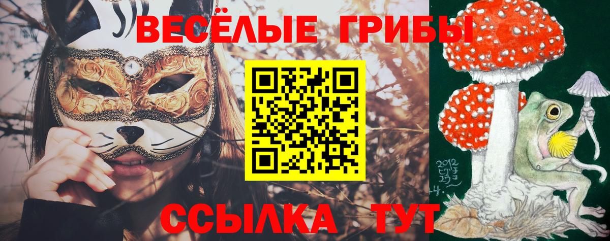 Псилоцибиновые грибы MAGIC MUSHROOMS Каменск-Уральский
